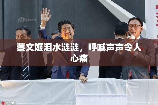 蔡文姬泪水涟涟，呼喊声声令人心痛