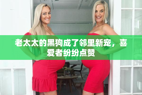 老太太的黑狗成了邻里新宠，喜爱者纷纷点赞