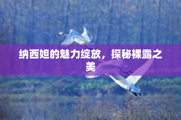 纳西妲的魅力绽放，探秘裸露之美