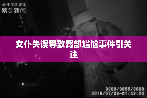 女仆失误导致臀部尴尬事件引关注
