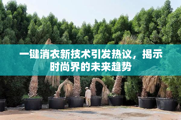 一键消衣新技术引发热议，揭示时尚界的未来趋势