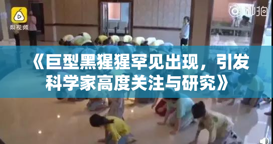 《巨型黑猩猩罕见出现，引发科学家高度关注与研究》