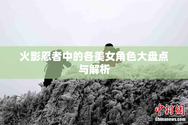 火影忍者中的各美女角色大盘点与解析