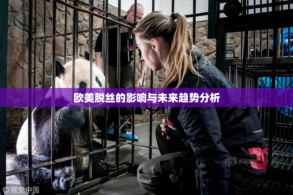 欧美脱丝的影响与未来趋势分析