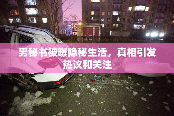 男秘书被曝隐秘生活，真相引发热议和关注