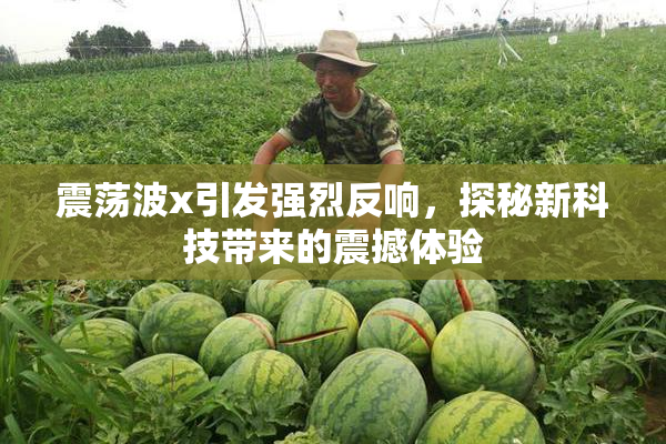 震荡波x引发强烈反响，探秘新科技带来的震撼体验