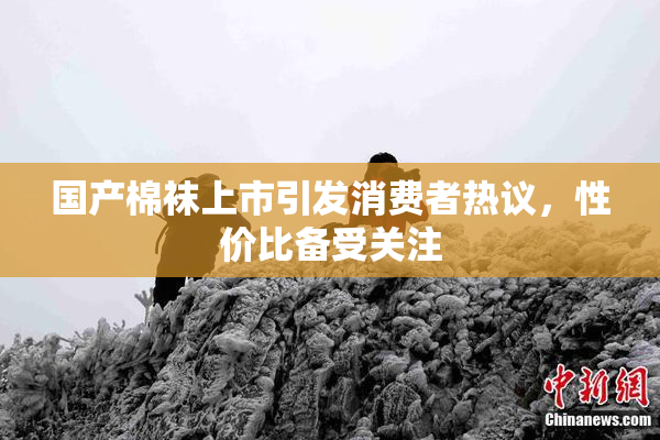 国产棉袜上市引发消费者热议，性价比备受关注