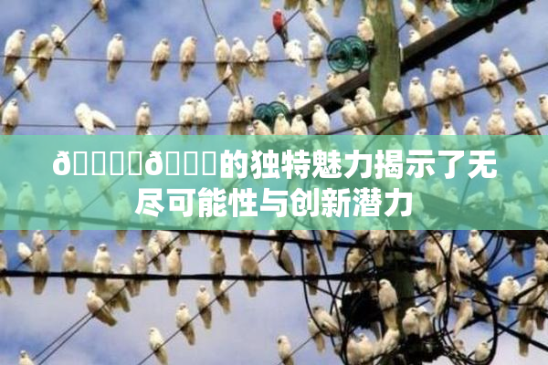 🔞‌🍌的独特魅力揭示了无尽可能性与创新潜力
