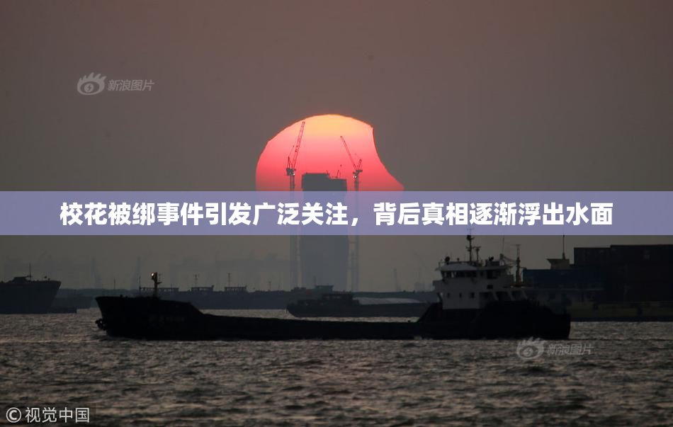 校花被绑事件引发广泛关注，背后真相逐渐浮出水面
