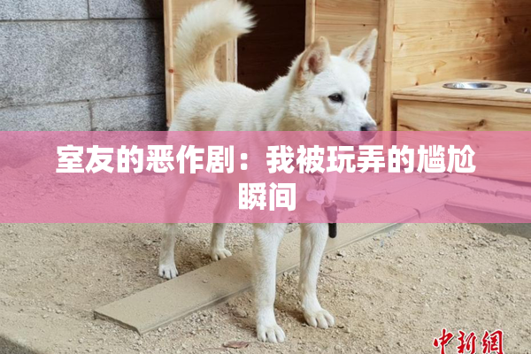 室友的恶作剧：我被玩弄的尴尬瞬间