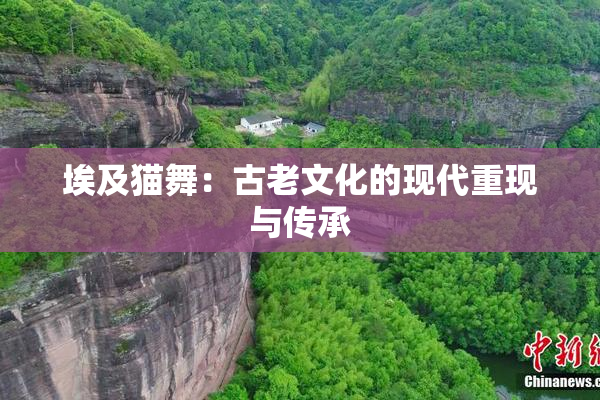 埃及猫舞：古老文化的现代重现与传承