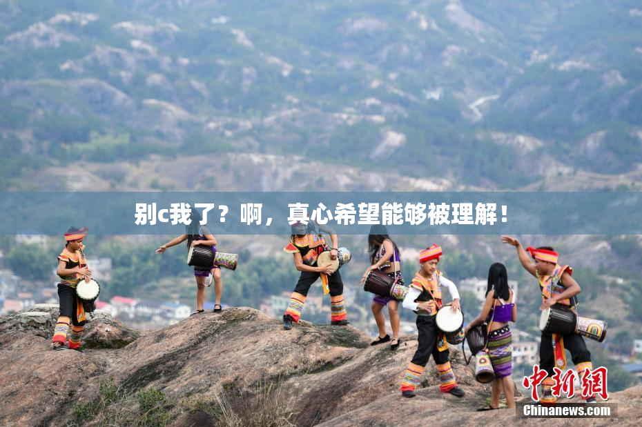 别c我了？啊，真心希望能够被理解！