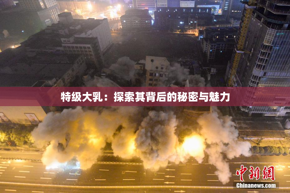 特级大乳：探索其背后的秘密与魅力