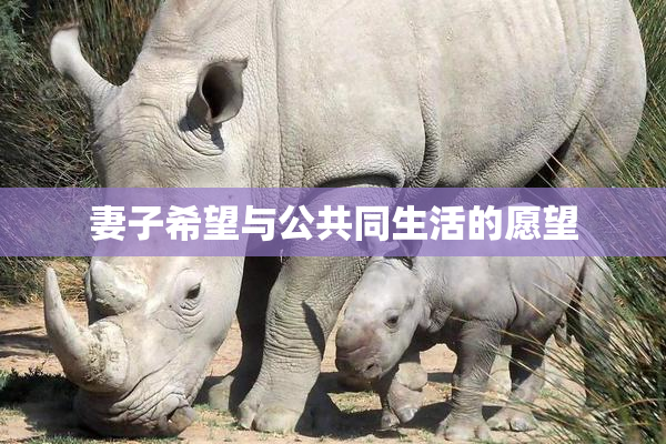 妻子希望与公共同生活的愿望