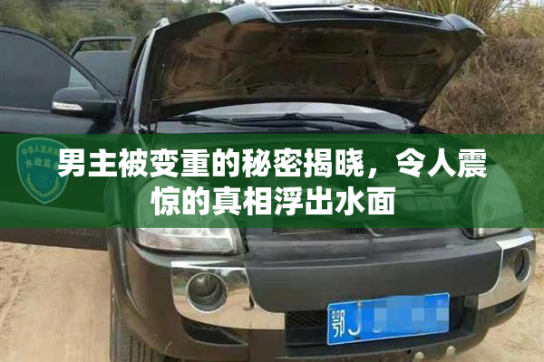 男主被变重的秘密揭晓，令人震惊的真相浮出水面