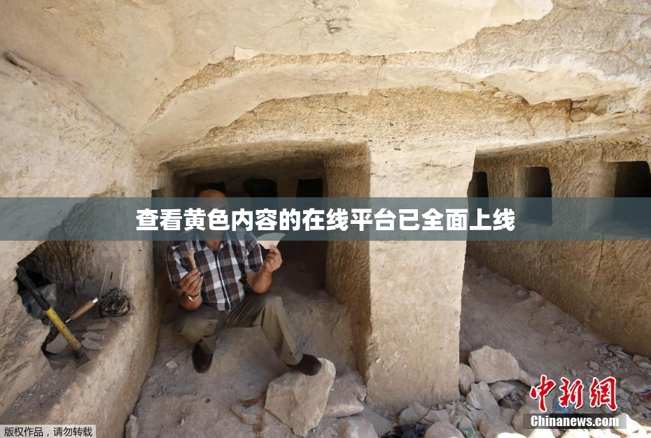 查看黄色内容的在线平台已全面上线