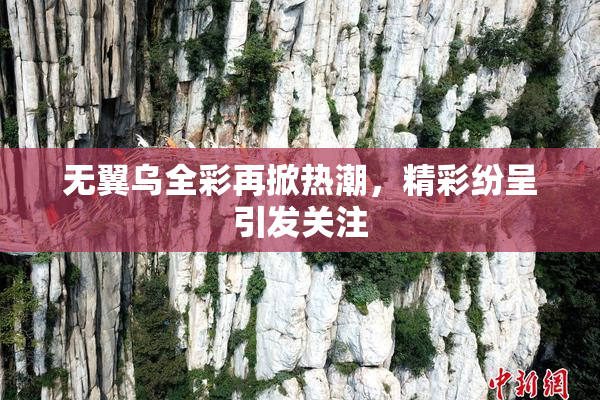 无翼乌全彩再掀热潮，精彩纷呈引发关注