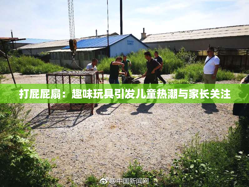 打屁屁扇：趣味玩具引发儿童热潮与家长关注