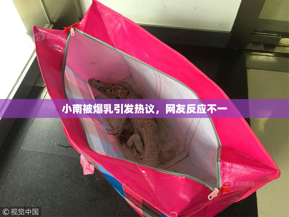 小南被爆乳引发热议，网友反应不一