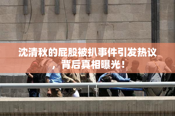 沈清秋的屁股被扒事件引发热议，背后真相曝光！