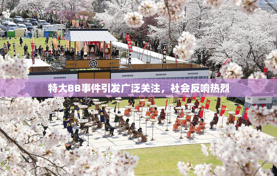 特大BB事件引发广泛关注，社会反响热烈