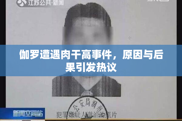伽罗遭遇肉干高事件，原因与后果引发热议