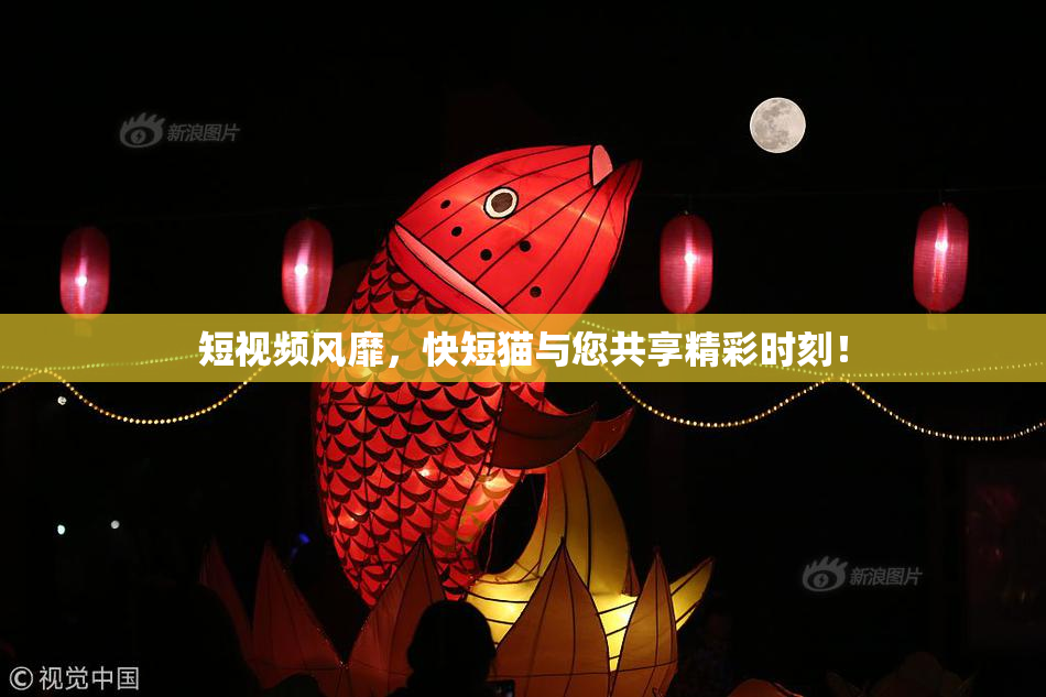 短视频风靡，快短猫与您共享精彩时刻！