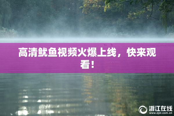 高清鱿鱼视频火爆上线，快来观看！