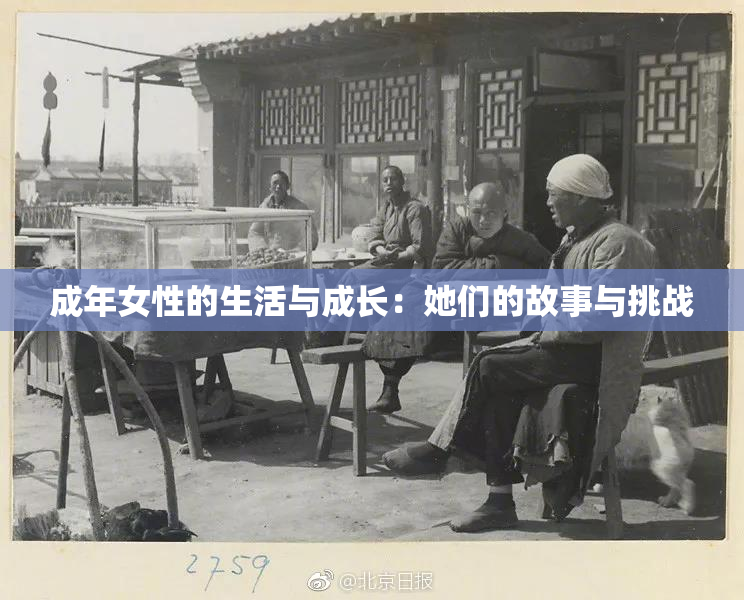 成年女性的生活与成长：她们的故事与挑战