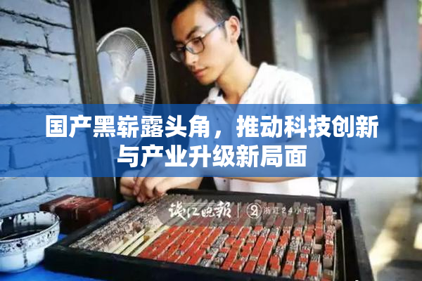 国产黑崭露头角，推动科技创新与产业升级新局面