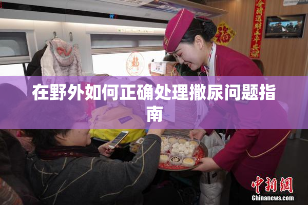 在野外如何正确处理撒尿问题指南