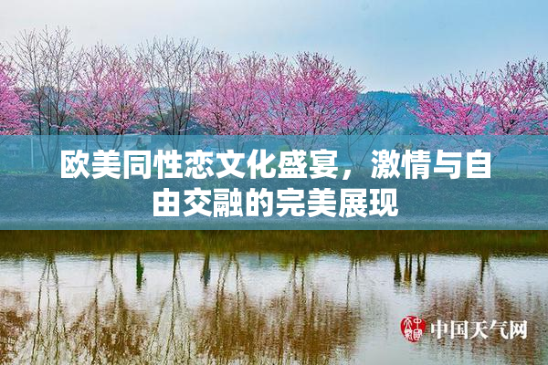 欧美同性恋文化盛宴，激情与自由交融的完美展现