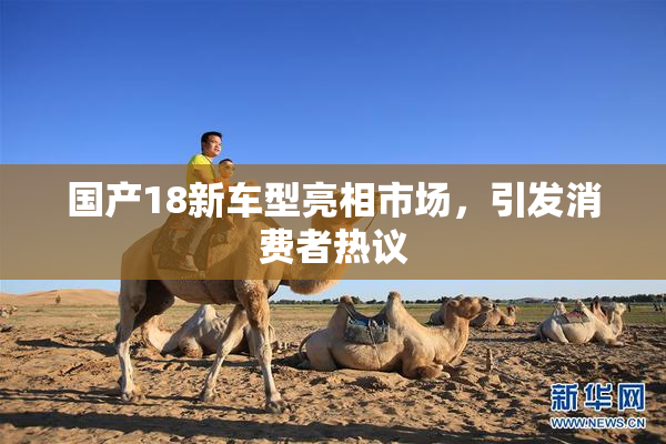 国产18新车型亮相市场，引发消费者热议