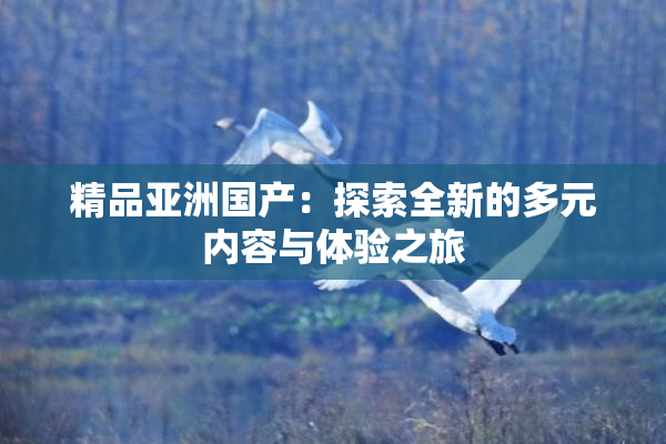 精品亚洲国产：探索全新的多元内容与体验之旅