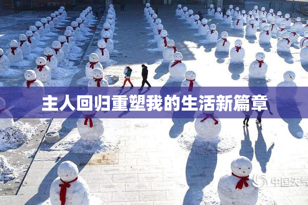 主人回归重塑我的生活新篇章