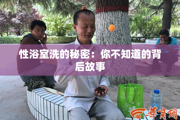 性浴室洗的秘密：你不知道的背后故事