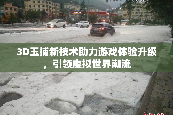 3D玉捕新技术助力游戏体验升级，引领虚拟世界潮流