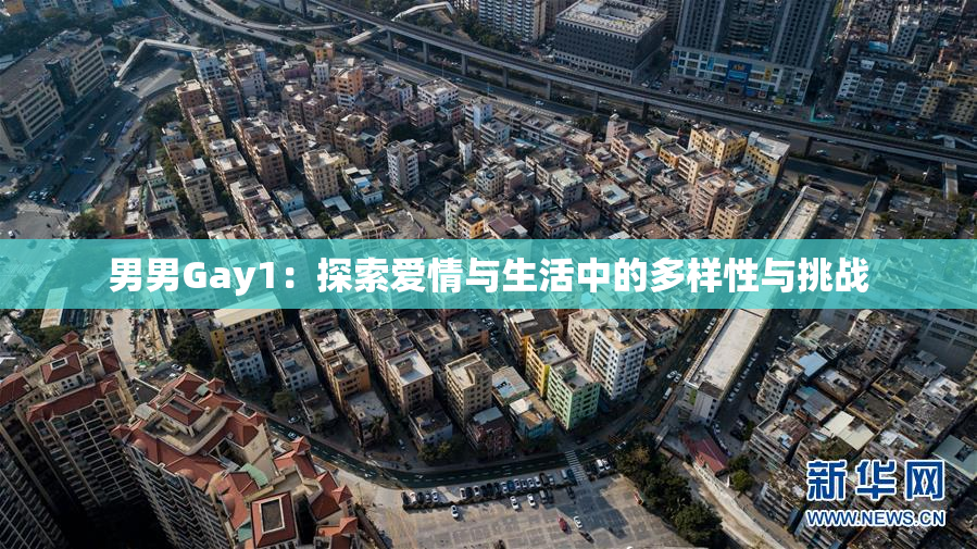 男男Gay1：探索爱情与生活中的多样性与挑战