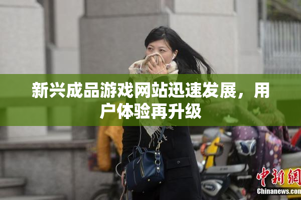 新兴成品游戏网站迅速发展，用户体验再升级