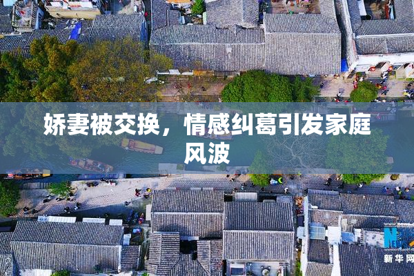 娇妻被交换，情感纠葛引发家庭风波