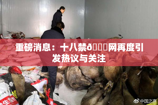 重磅消息：十八禁🔞网再度引发热议与关注