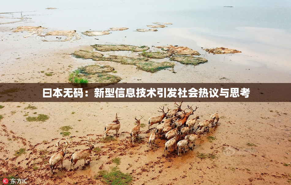 曰本无码：新型信息技术引发社会热议与思考
