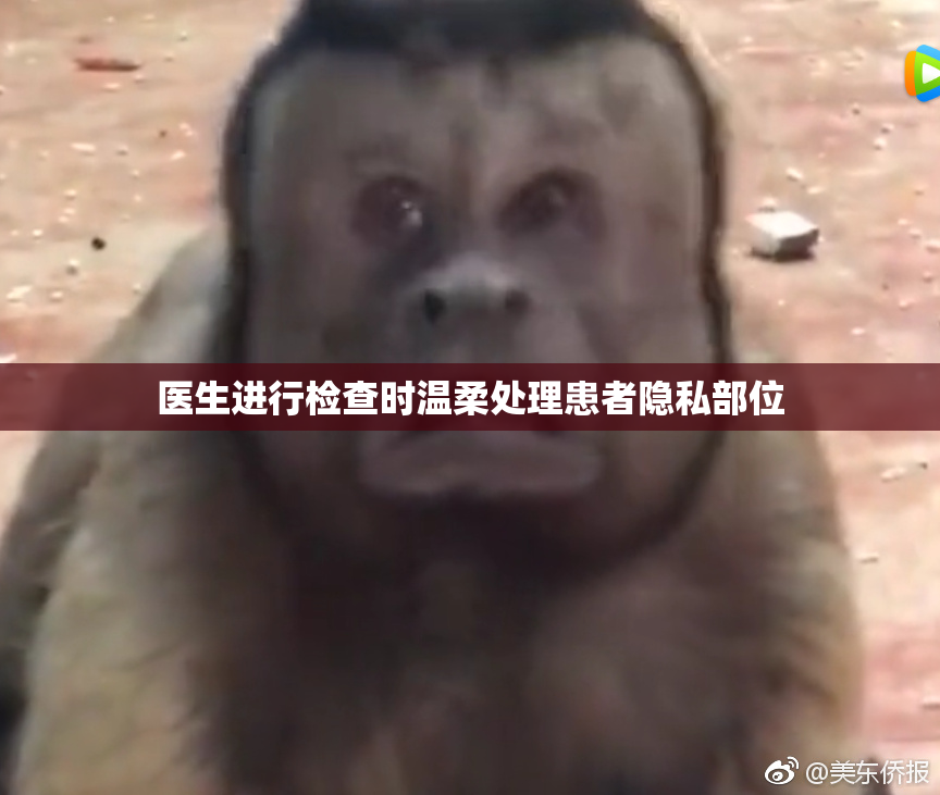 医生进行检查时温柔处理患者隐私部位