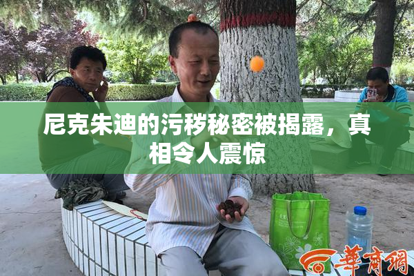 尼克朱迪的污秽秘密被揭露，真相令人震惊