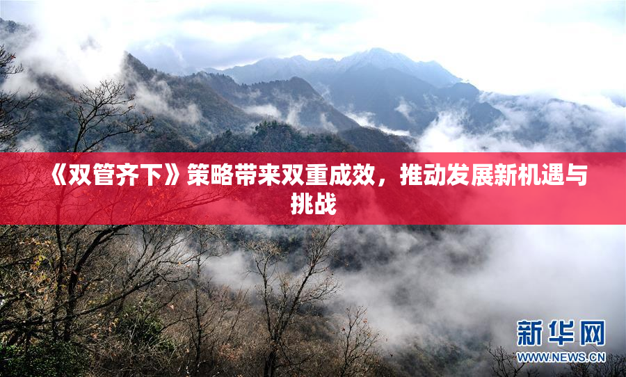 《双管齐下》策略带来双重成效，推动发展新机遇与挑战