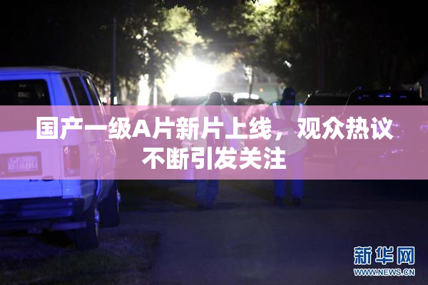 国产一级A片新片上线，观众热议不断引发关注