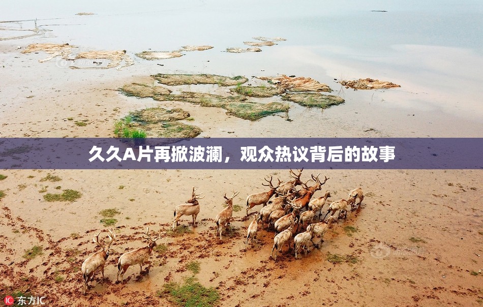 久久A片再掀波澜，观众热议背后的故事