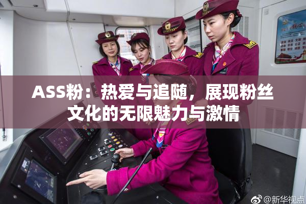 ASS粉：热爱与追随，展现粉丝文化的无限魅力与激情