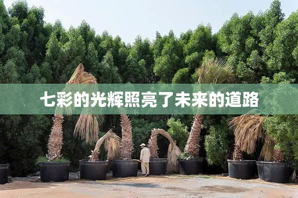 七彩的光辉照亮了未来的道路