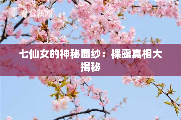 七仙女的神秘面纱：裸露真相大揭秘
